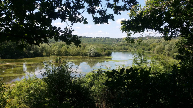 Domaine ornithologique de Flicourt