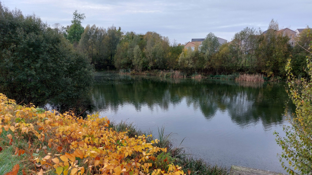 Bassin Blanche de Castille