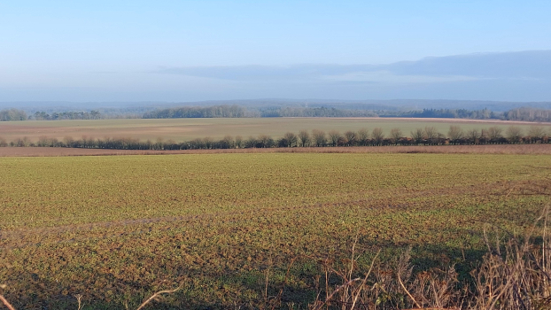 Vers le Bois de L'ormeteau