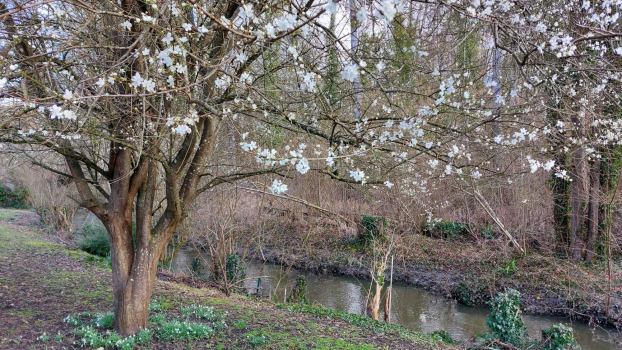 Le Sausseron à l'approche du printemps 