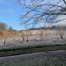 Rando Galette - 19 janvier 2020