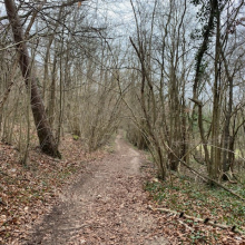 Pâques 2020 - Sabine