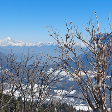 Randonnée du 10 février 2023 : La Cochette (1619 m)