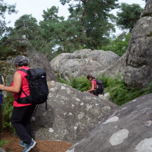 Les rochers de Fontainebleau : 13 août 2023