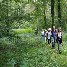 Randonnée du 21 juillet 2024 : Forêt de Lyons