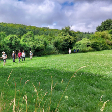 Randonnée du 21 juillet 2024 : Sortie de la Forêt 