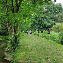 Le long de la Lévrière 