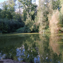 Randonnée du 11 septembre 2024 : Le Bois de Galluis