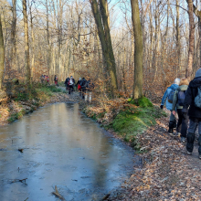 Randonnée du 16 janvier 2025 : Bois de Galluis