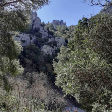 Vers En Vau