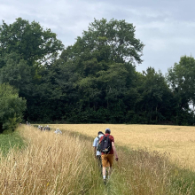 Sur les chemins