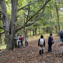 Auprès de mon arbre, je vivais heureuse…
