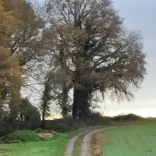 Paysage du coté de Villers