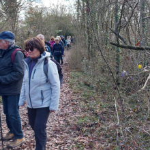 Randonnée du 4 février 2026 : Le Bois Brûlé