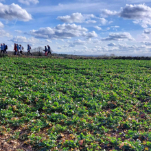 Randonnée du 4 février 2026 : Vers Hédouville