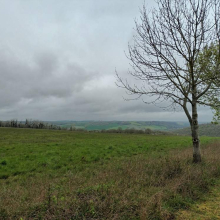 Le Vexin à perte de vue