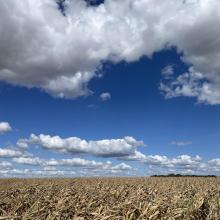 Météo clémente sur le plateau 