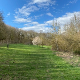 Pâques 2020 - Sabine