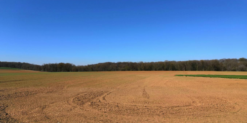 Dans les champs autour de Marines