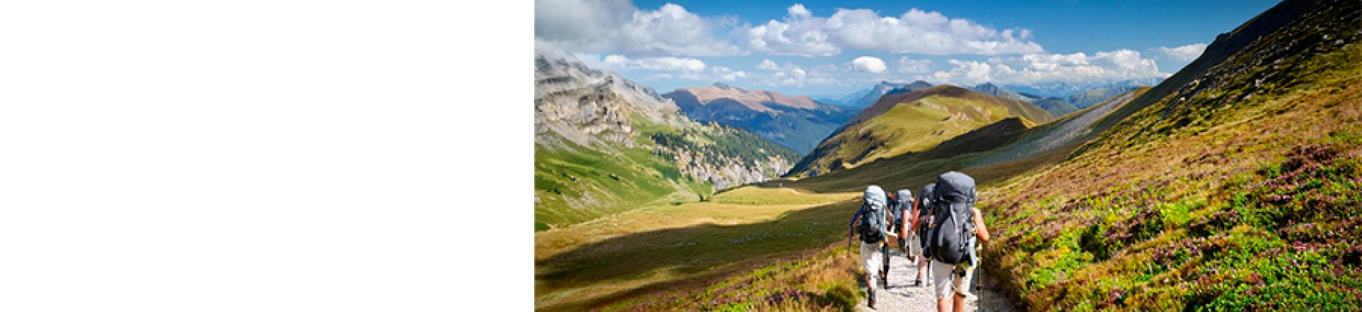 Randonneurs sur un chemin
