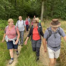 Randonnée du 25 juin 2021 : Lavilletertre